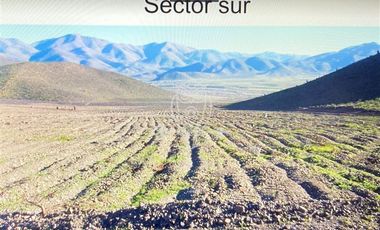 Agrícola en Venta en Panamericana Norte, km100