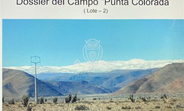 Agrícola en Venta en Panamericana Norte, km100