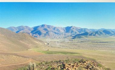 Agrícola en Venta en Panamericana Norte, km100