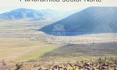 Agrícola en Venta en Panamericana Norte, km100