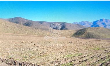 Agrícola en Venta en Panamericana Norte, km100