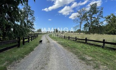 Sitio en Venta en Lago Puyehue Mantilhue