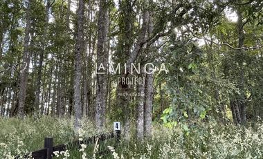Sitio en Venta en Lago Puyehue Mantilhue