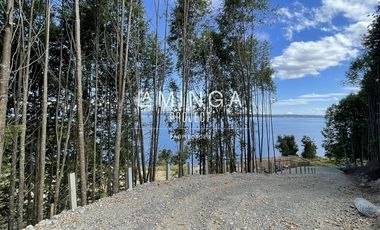 Sitio en Venta en Lago Puyehue Mantilhue