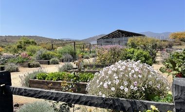 Parcela en Venta en Catapílco, Comuna de Zapallar (Valle Oculto)
