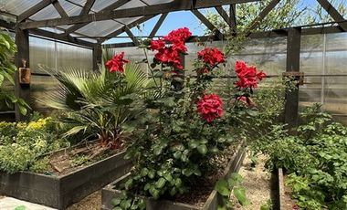 Parcela en Venta en Catapílco, Comuna de Zapallar (Valle Oculto)