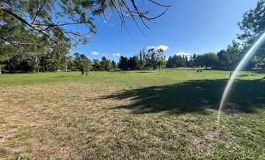 HECTAREAS EN VENTA ABASTO
