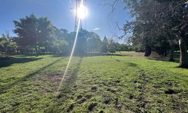 HECTAREAS EN VENTA ABASTO