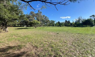 HECTAREAS EN VENTA ABASTO
