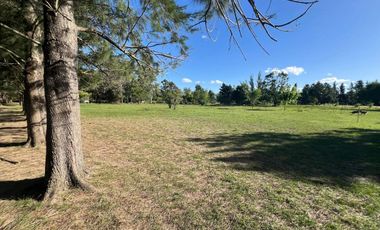 HECTAREAS EN VENTA ABASTO
