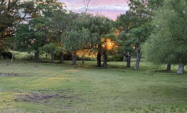HECTAREAS EN VENTA ABASTO
