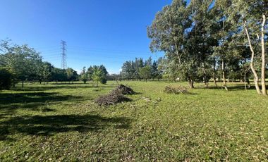 HECTAREAS EN VENTA ABASTO
