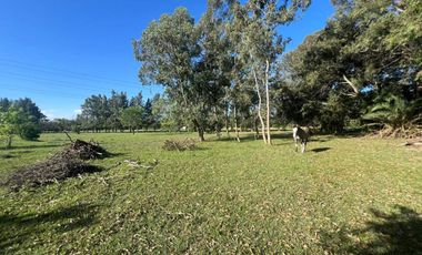 HECTAREAS EN VENTA ABASTO