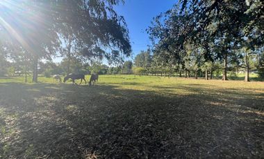 HECTAREAS EN VENTA ABASTO