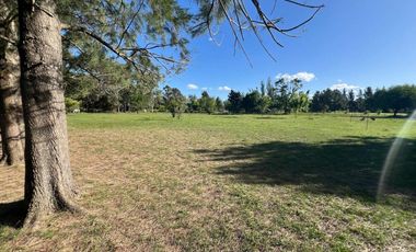 HECTAREAS EN VENTA ABASTO