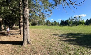 HECTAREAS EN VENTA ABASTO