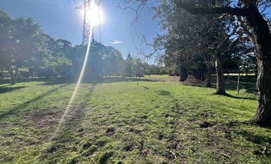 HECTAREAS EN VENTA ABASTO