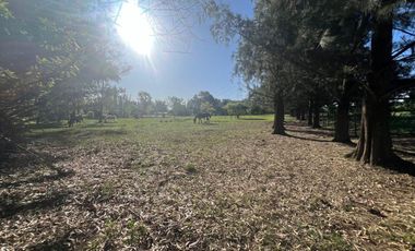 HECTAREAS EN VENTA ABASTO