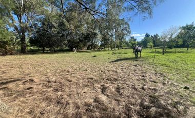 HECTAREAS EN VENTA ABASTO