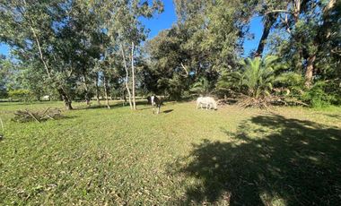 HECTAREAS EN VENTA ABASTO