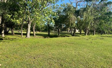 HECTAREAS EN VENTA ABASTO