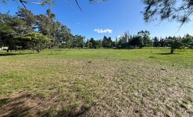 HECTAREAS EN VENTA ABASTO