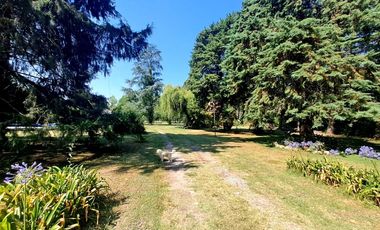 CASA QUINTA en VENTA en LA PLATA- TERRENO 6.000 m2