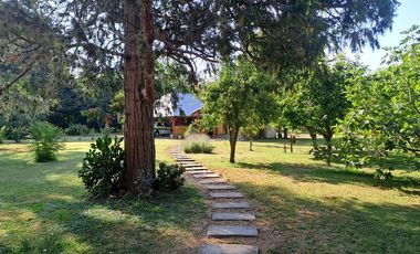 CASA QUINTA en VENTA en LA PLATA- TERRENO 6.000 m2