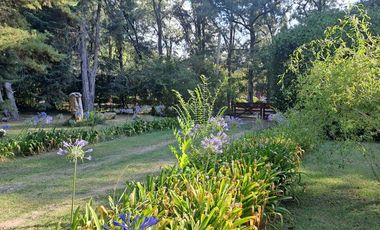 CASA QUINTA en VENTA en LA PLATA- TERRENO 6.000 m2