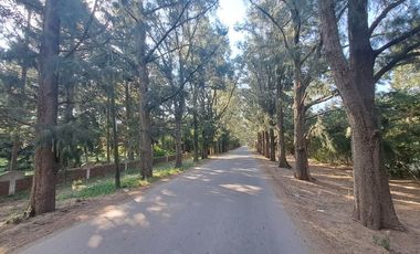 CASA QUINTA en VENTA en LA PLATA- TERRENO 6.000 m2