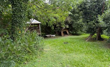 VENTA CASA QUINTA 3 AMBIENTES MORENO C/PILETA