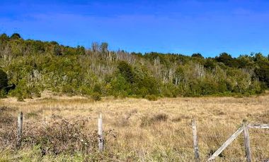 TERRENO 5000 MTS - ROL PROPIO - DERECHOS EN TERRENO COMÚN
