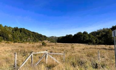 TERRENO 5000 MTS - ROL PROPIO - DERECHOS EN TERRENO COMÚN