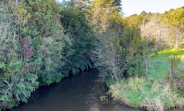 TERRENO 5000 MTS - ROL PROPIO - DERECHOS EN TERRENO COMÚN