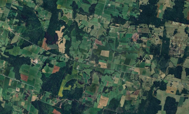 TERRENO 5000 MTS - ROL PROPIO - DERECHOS EN TERRENO COMÚN