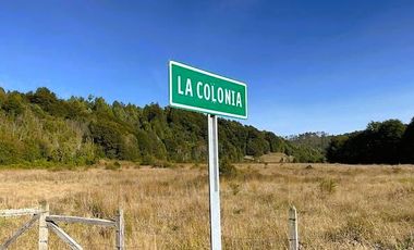 TERRENO 5000 MTS - ROL PROPIO - DERECHOS EN TERRENO COMÚN