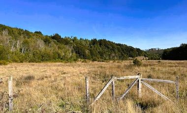 TERRENO 5000 MTS - ROL PROPIO - DERECHOS EN TERRENO COMÚN