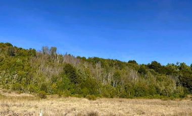 TERRENO 5000 MTS - ROL PROPIO - DERECHOS EN TERRENO COMÚN