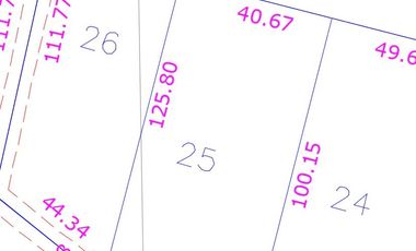TERRENO 5000 MTS - ROL PROPIO - DERECHOS EN TERRENO COMÚN