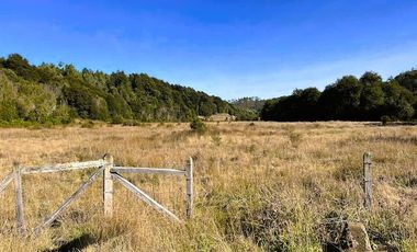 TERRENO 5000 MTS - ROL PROPIO - DERECHOS EN TERRENO COMÚN