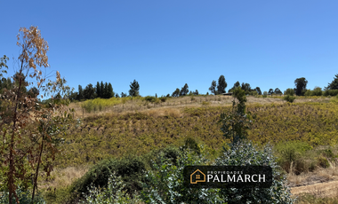 PARCELA EN VENTA EN SAN NICOLÁS   CHILLÁN