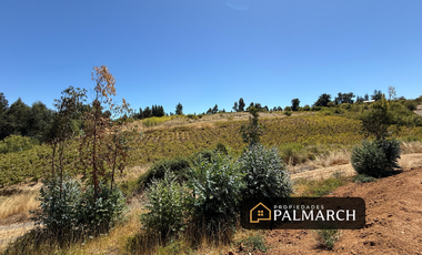 PARCELA EN VENTA EN SAN NICOLÁS   CHILLÁN