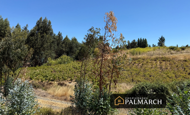 PARCELA EN VENTA EN SAN NICOLÁS   CHILLÁN