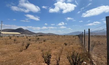 VENTA TERRENO - 5000MT2 -SECTOR TAMBILLOS