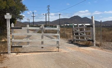 VENTA TERRENO - 5000MT2 -SECTOR TAMBILLOS