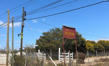 VENTA TERRENO - 5000MT2 -SECTOR TAMBILLOS