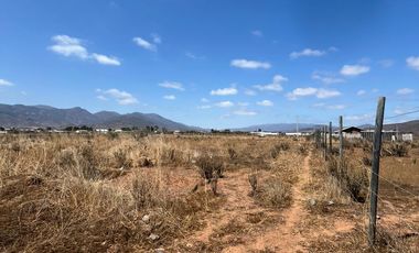 VENTA TERRENO - 5000MT2 -SECTOR TAMBILLOS