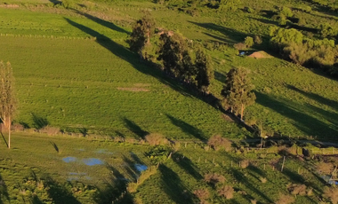CAMPO 63,15 HA EN MONTELEÓN SAN NICOLÁS