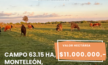 CAMPO 63,15 HA EN MONTELEÓN SAN NICOLÁS