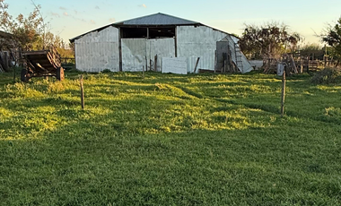 CAMPO 63,15 HA EN MONTELEÓN SAN NICOLÁS